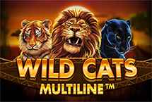 WILD CATS MULTILINE